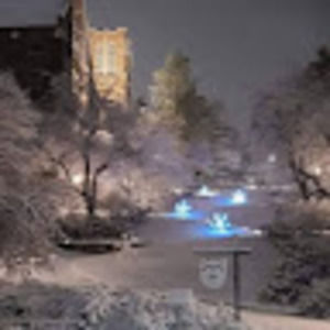 Meet your Posher, Carmie